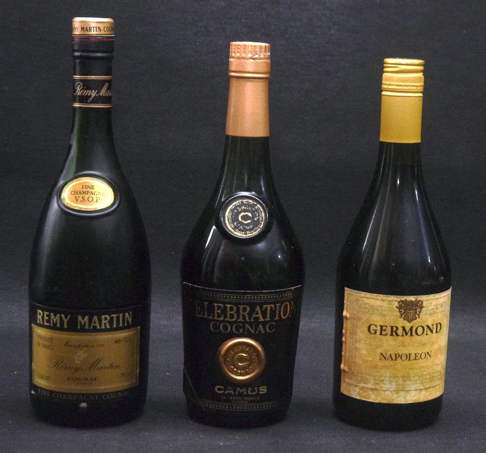 NAPOLEON brandy; CAMUS cognac; REMY MARTIN cognac (3)
