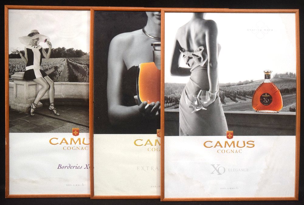 CAMUS framed posters 50 x 70cm (3)
